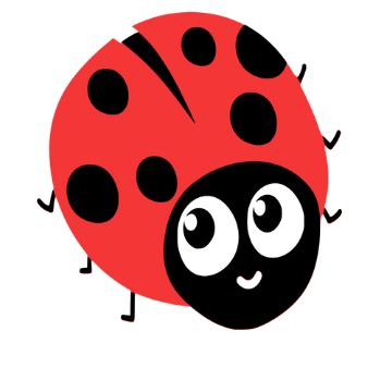 Illustration d'une coccinelle